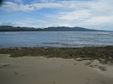 IMG_1199.JPG