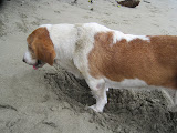 IMG_1224.JPG