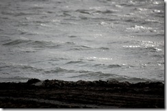 waves14
