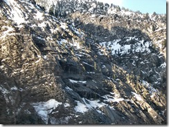snowbird12