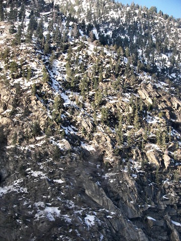 [snowbird132.jpg]