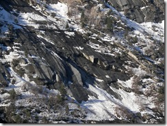 snowbird18