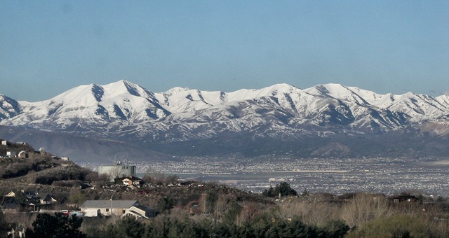 [snowbird222.jpg]