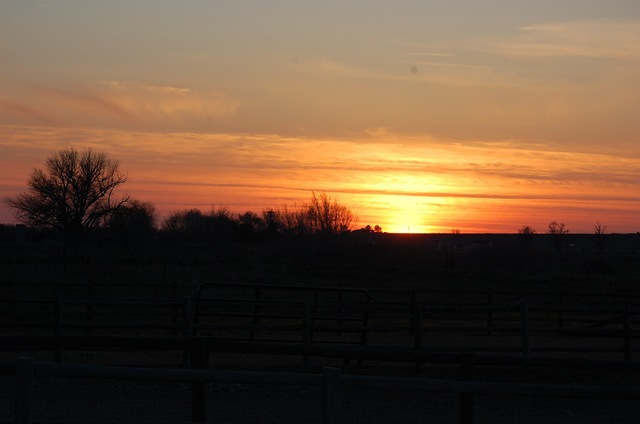 [idahotrip1032.jpg]