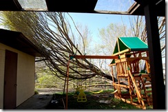 treedisaster3