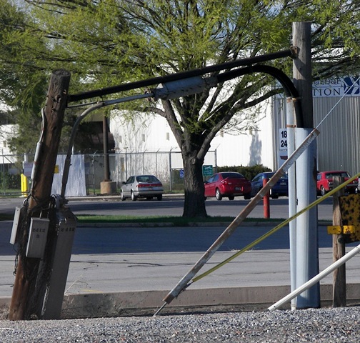 [treedisaster2[2].jpg]