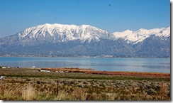 saratogasprings