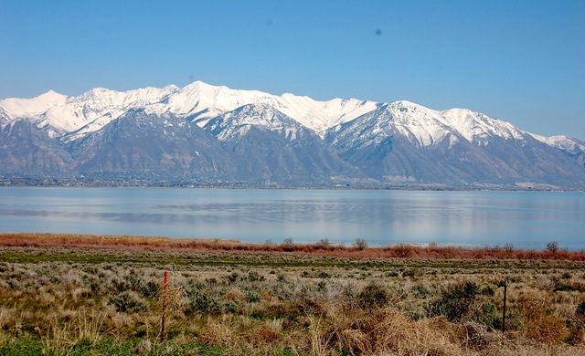 [saratogasprings2[2].jpg]