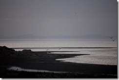 aisland53