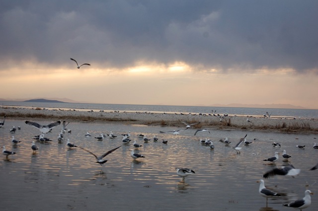 [aisland1032.jpg]