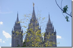 sltemple55