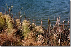 salemlake7