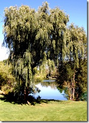 salemlake2