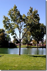 salemlake9