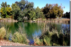 salemlake11