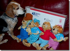 berenstainbears5