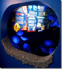 aquarium3