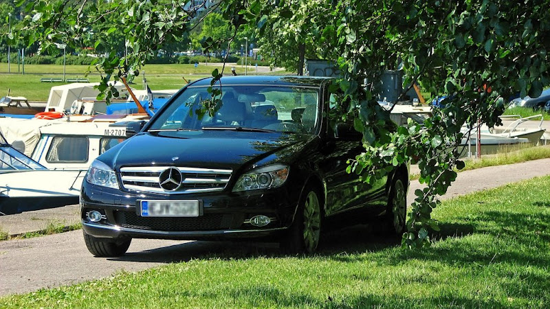 С симпатией к Тапиола