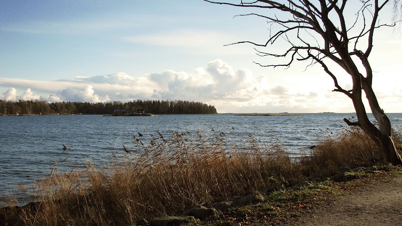 Апология ноября