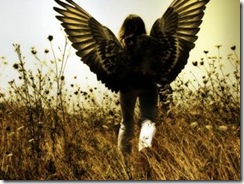 angels angels
