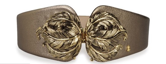 [roberto cavalli[12].jpg]