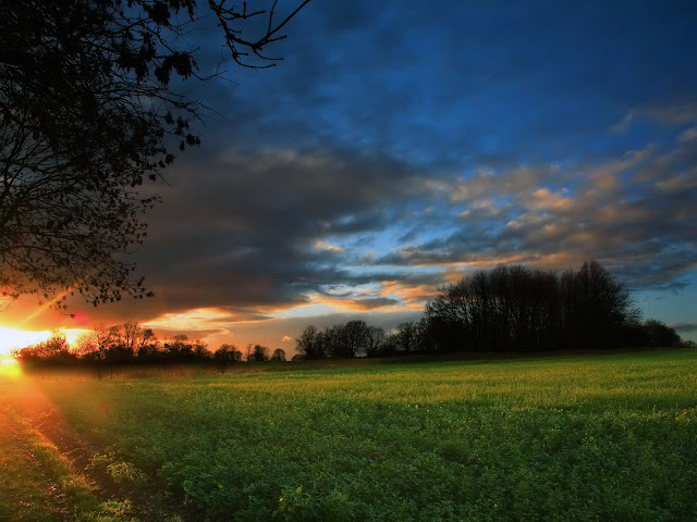 windows 7%20 011 Windows 7 Wallpapers