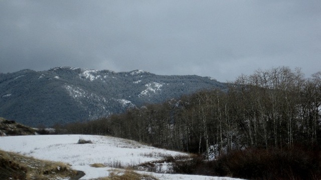 [Another day of winter[4].jpg]
