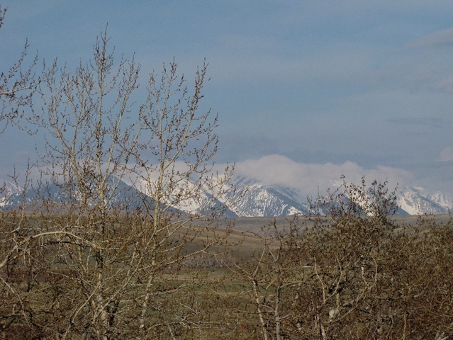 [Another spring storm[3].jpg]