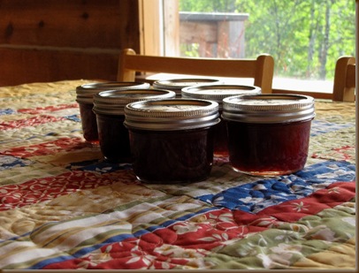 Rhubarb jam