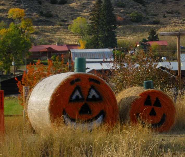 [Davas Halloween decorations[2].jpg]