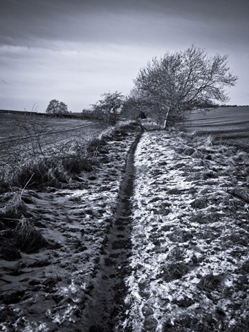 Path in Snow
