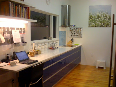 Ikea Kitchen Remodeling on Ikea Kitchens   Kitchens Forum   Gardenweb