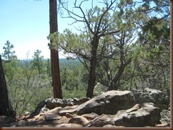 IMG_2436 IMG_2436