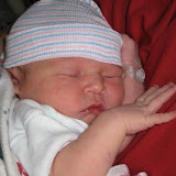 Web-Piper-20090311