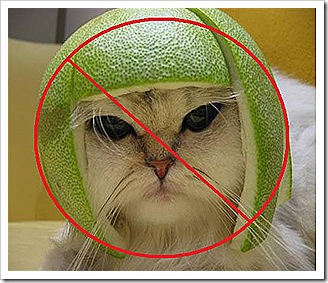 NOT-lime