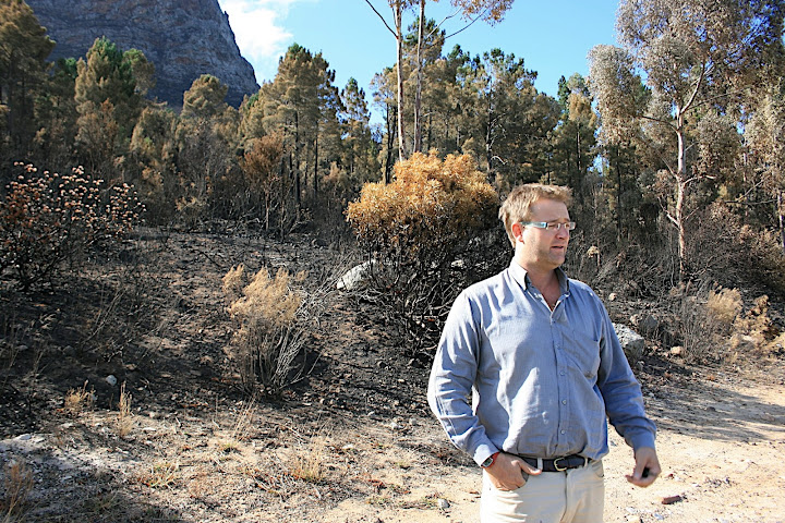 Takuan stands on the road between the highest lying Cabriere vineyard and the blackened Franschhoek Mountain.