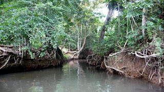 Ibedi Tiwar, Mulatupu.