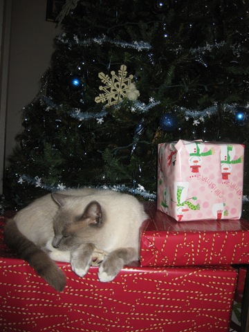 [IMG_49412.jpg]