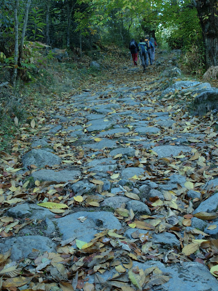 Foto de  Montseny: Viladrau-Matagalls