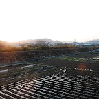 DSC_0789.JPG