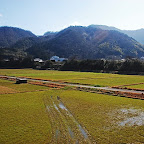 DSC_0945.JPG