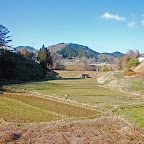 DSC_0835.JPG