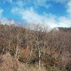 DSC_0866.JPG