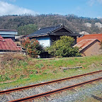 DSC_0949.JPG