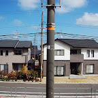 DSC_1021.JPG