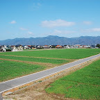 DSC_1040.JPG