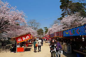 P1030225.jpg