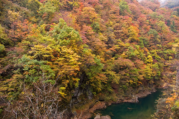 整個山谷都是紅紅橙橙黃黃綠綠
