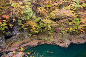 DSC_5215.jpg