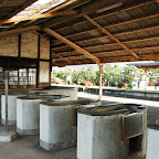 DSC_1510.jpg